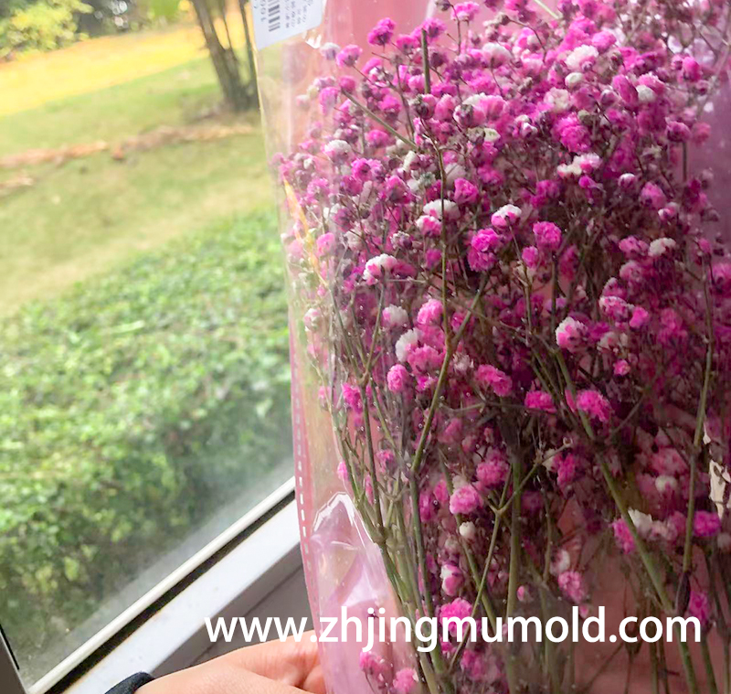 模具加工和模具制造厂家为女员工庆祝中国女生节