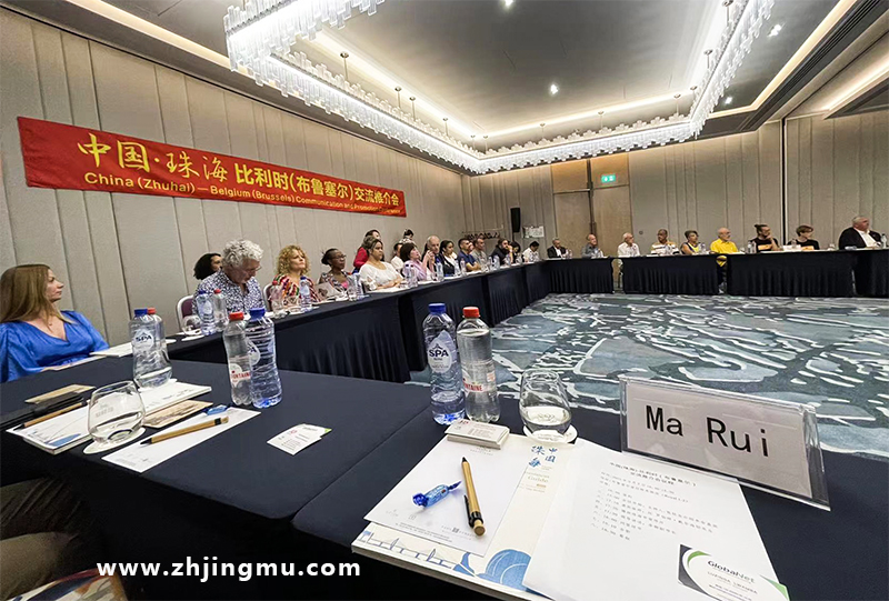 粤港澳大湾区-欧洲经贸合作交流会