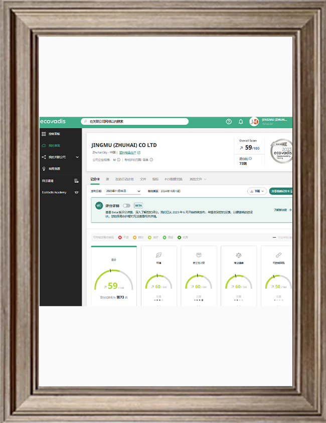 具有Ecovadis奖牌的OEM精密注塑模具制造厂